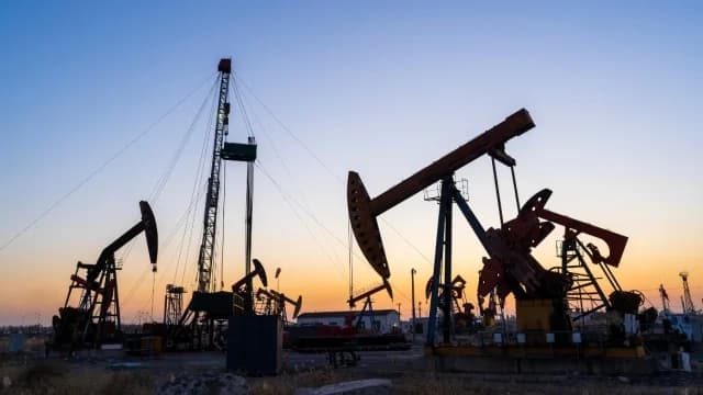 AIE: Suministro mundial de petróleo caerá en 8 millones de barriles diarios