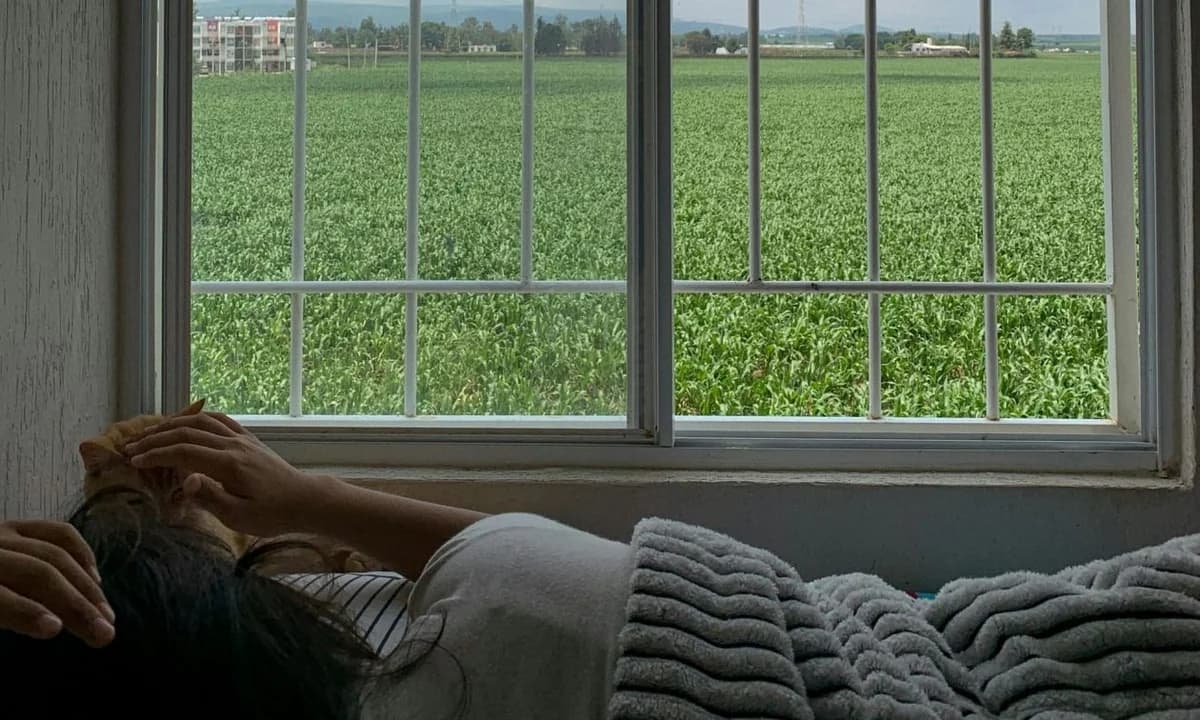 Night Noise and Sleep: Why an Open Window Can Harm Your Health