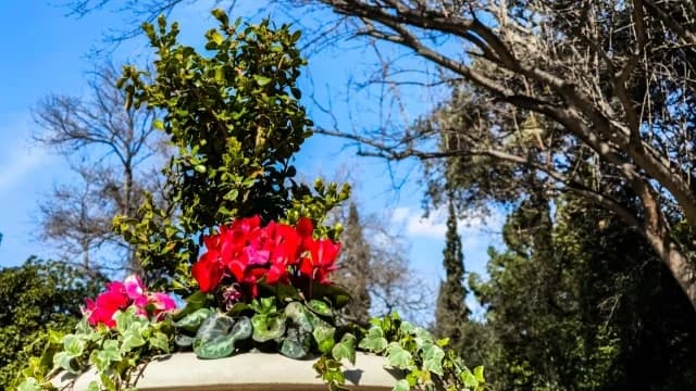 Ήπιος καιρός και ανοιξιάτικες συνθήκες το επόμενο δεκαήμερο