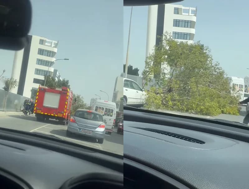 Limassol: Tree Falls on Moving Car