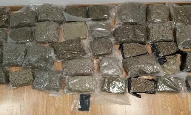 雅典：两名毒品贩运者被捕，缴获 51 公斤大麻