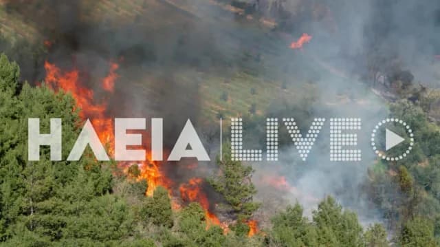 Fire in Vytinaika, Pyrgos, Ilia: Forest Firefighting Operation Underway