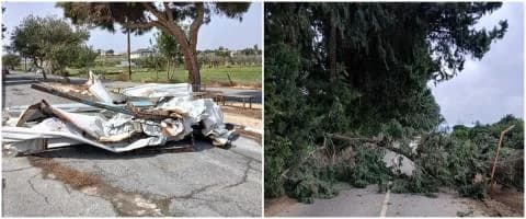רוחות חזקות גורמות לבעיות בלימסול - עצים שנפלו ושיבושי תנועה