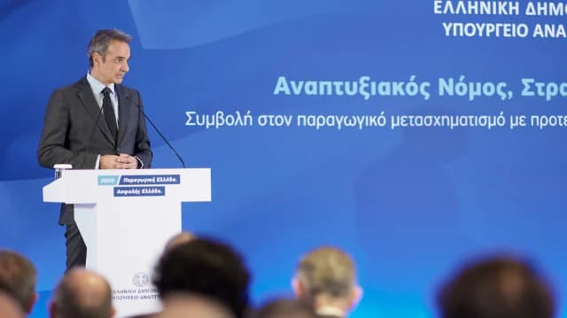 米佐塔基斯：新的投资机制和对能源密集型产业的支持