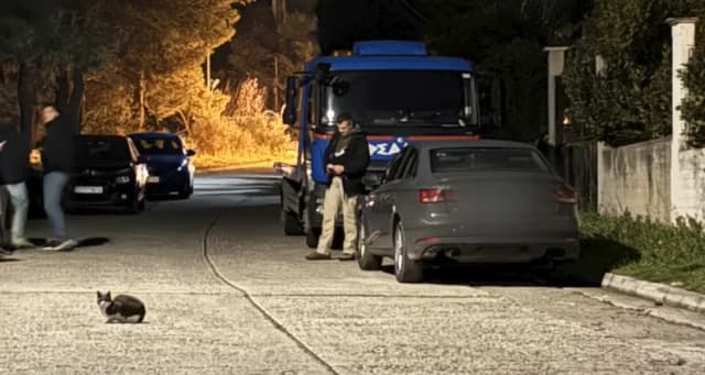 נאה מקרי: אנשי מאפיה טורקים יורים במכונית – סרטון