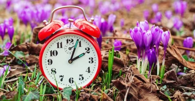 Equinoccio de Primavera 2026: Hora Oficial de Inicio de la Primavera