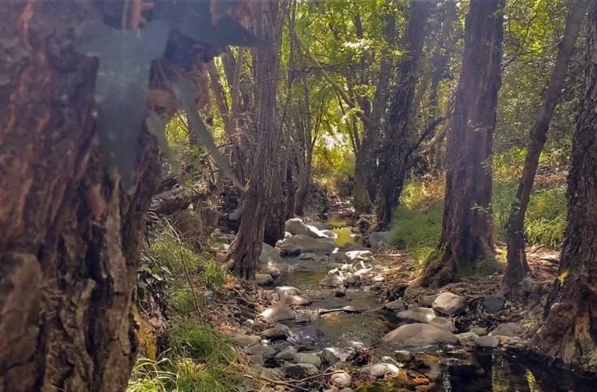 Κλειστός δασικός δρόμος λόγω κατολισθήσεων