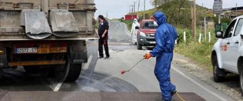 מחלת הפה והטלפיים: מקרים חדשים ו-21,000 מקרי מוות של בעלי חיים