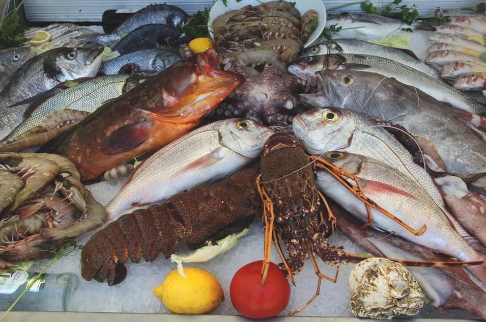 Cyprus: Fish Taverns Full on March 25th