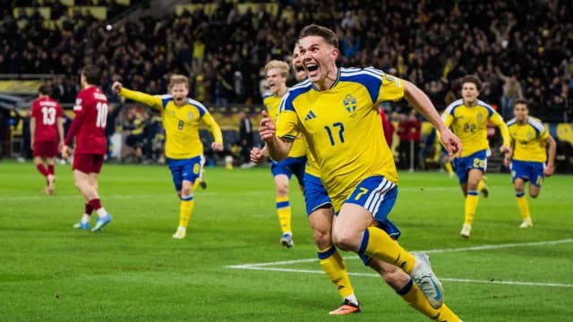 Sweden - Poland 3-2: Poland out of the World Cup