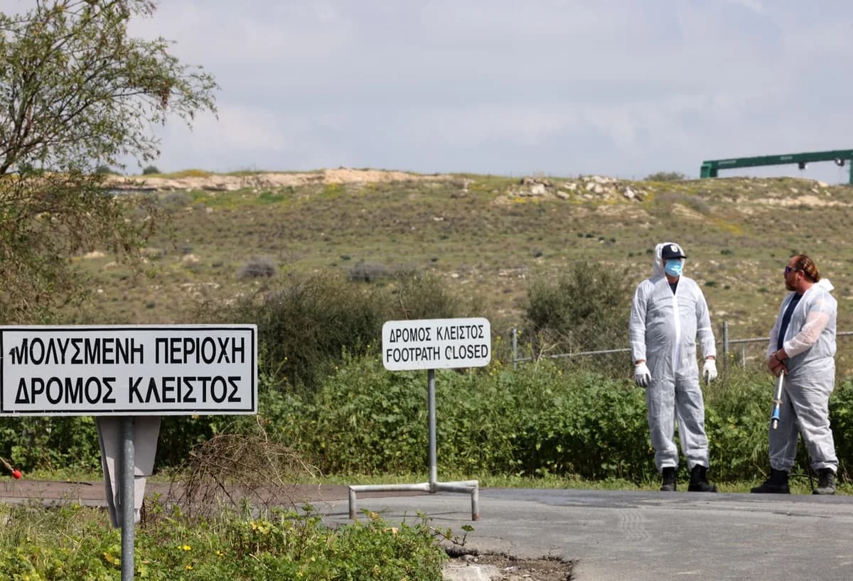 מחלת הפה והטלפיים: שלב קריטי ואמצעי מניעה