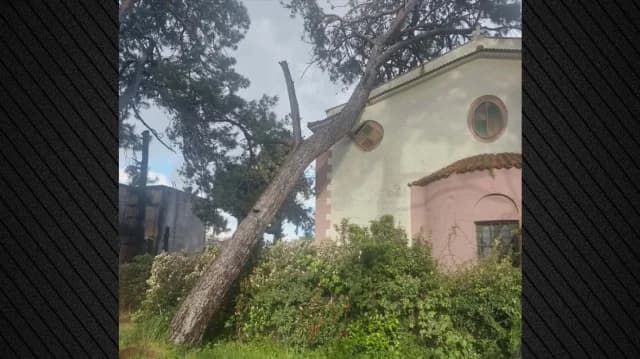 Mytilini: Schwere Schäden an Kirche durch umgestürzten Baum
