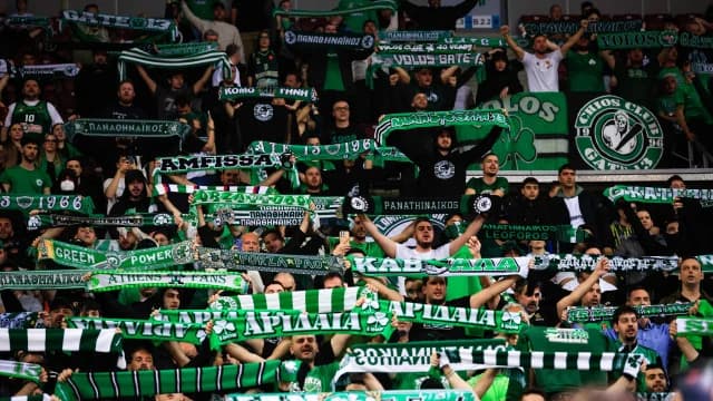 Panathinaikos Thanks Fans for Sofia Support