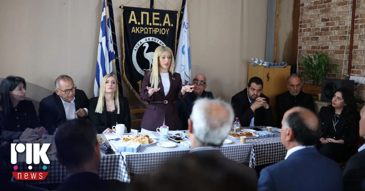 אניטה דמטריו: פגישה בנושא בסיסים בריטיים באקרוטירי