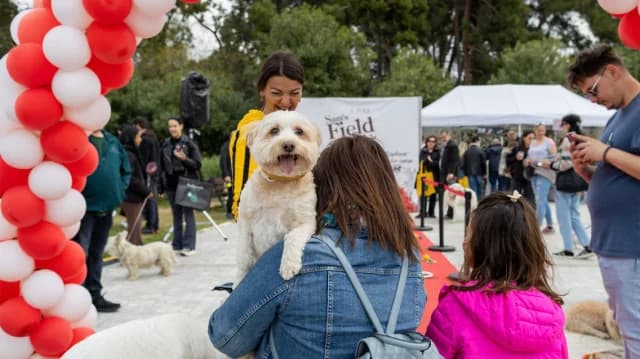 Woof Festival 2026: Υιοθεσίες και δράσεις στο Πεδίον του Άρεως