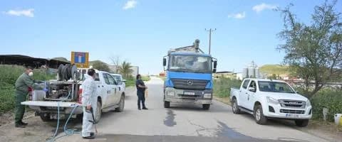 Растет обеспокоенность по поводу ящура: смертность среди свиней превышает 6%