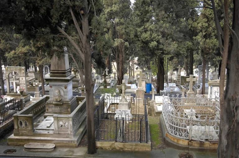 Trinidad und Tobago: Leichen von 50 Säuglingen und 6 Erwachsenen auf Friedhof gefunden