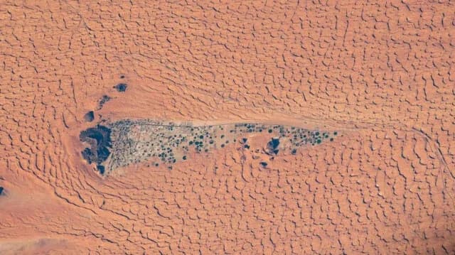 La NASA captura la 'maravilla verde' en el desierto de Nefud desde el espacio