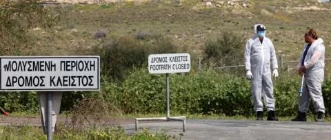השירותים הווטרינריים דוחים בקשה להפסיק המתת המונים