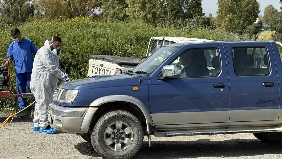Fiebre aftosa: Denuncias de compensación selectiva y reacciones de los agricultores