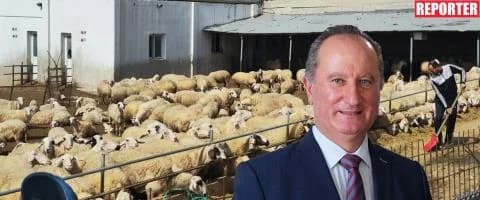 מלאס: נוהגים לקויים מאחורי העברת בעלי חיים - אין דיון על חידוש מבחוץ