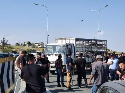 Υπουργείο Γεωργίας: Όχι στους κτηνοτρόφους για τις θανατώσεις ζώων