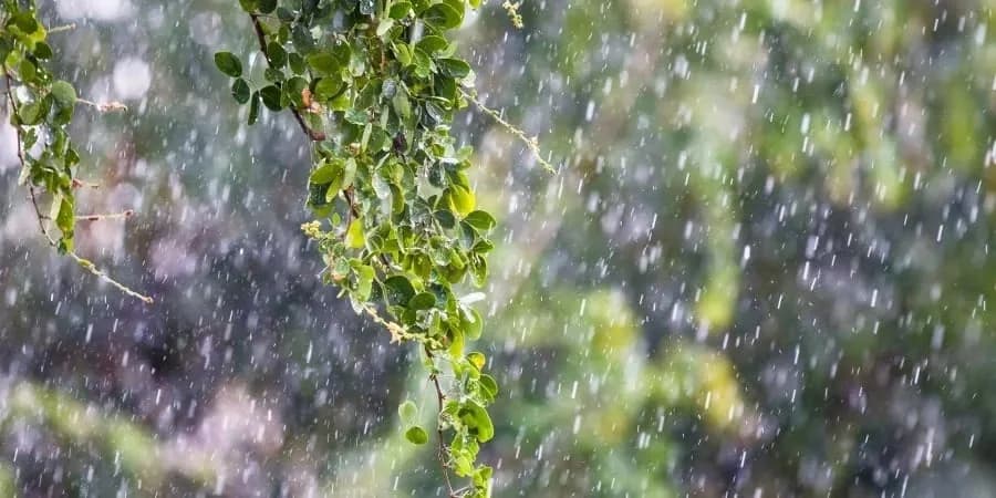 Ποιες περιοχές θα επηρεαστούν από βροχές – Αναλυτική πρόγνωση καιρού