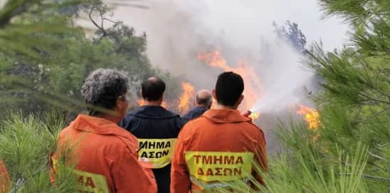 Κίνδυνος Δασικών Πυρκαγιών: «Κόκκινος Συναγερμός» και Έκκληση
