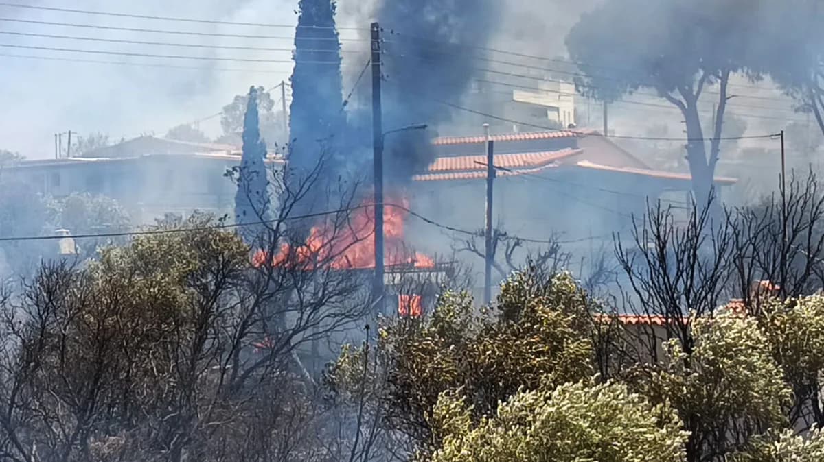 Brand in Palaia Fokaia: Häuser brennen, Evakuierungen