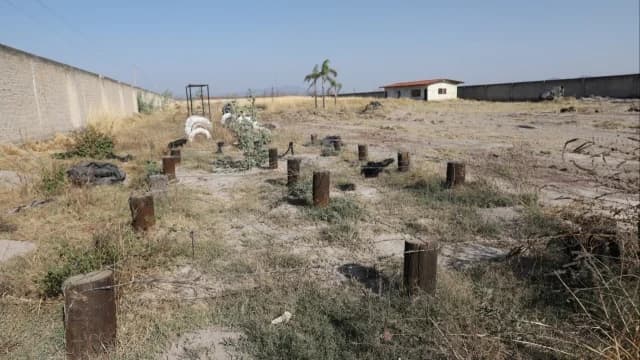 Μεξικό: Ομαδικός τάφος με 34 πτώματα στην Χαλίσκο