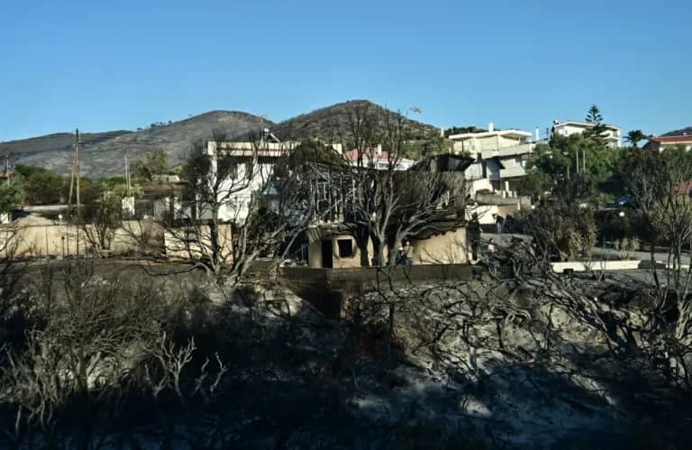 Palaia Fokaia Fire: Devastation and Recovery Efforts