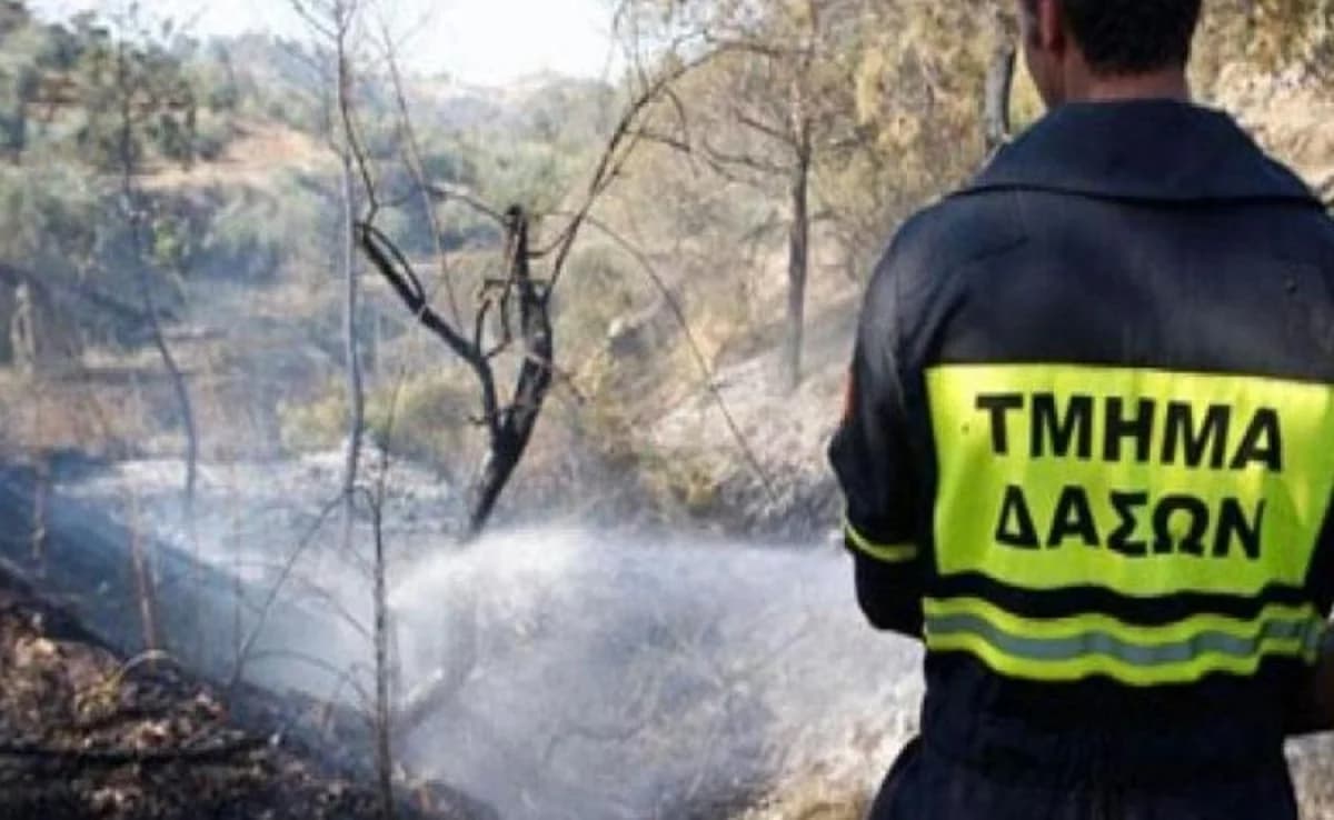 Kakopetria: Feuer durch Schleifgerät ohne Genehmigung – Anzeige erstattet