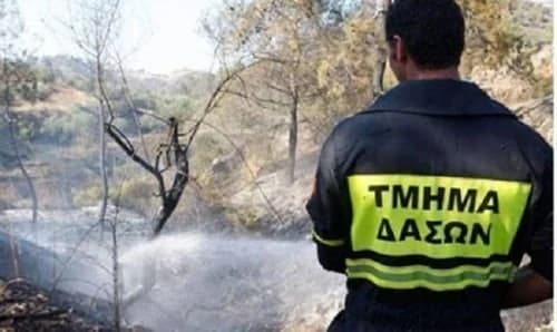 קאקופטריה: כתבי אישום בגין שריפה שנגרמה משימוש באבן שיוף