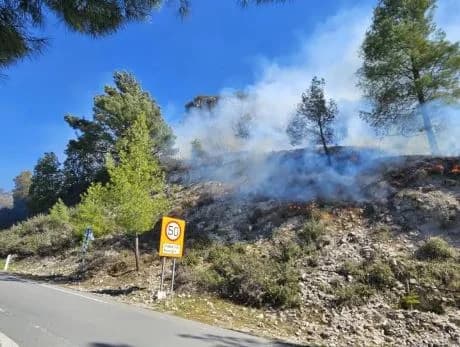 Kakopetria Fire: Citizens to be Charged for Using Emery