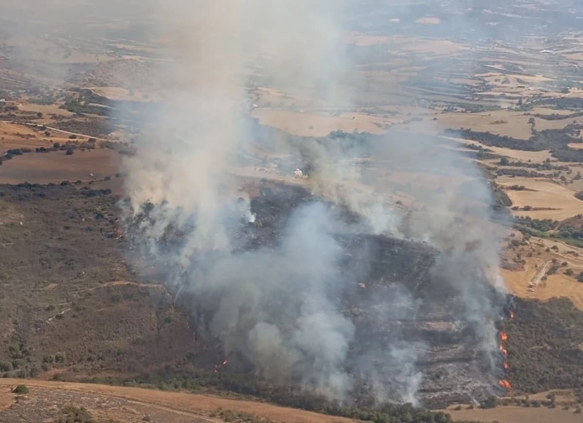 Feuer in Paphos eingedämmt: Boden- und Luftstreitkräfte im Einsatz