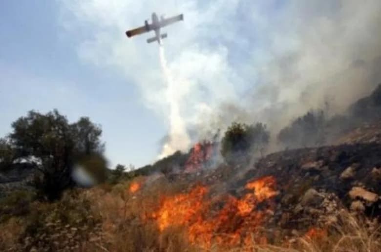 Brände in Steni und Pelathousa: Alarm in Paphos