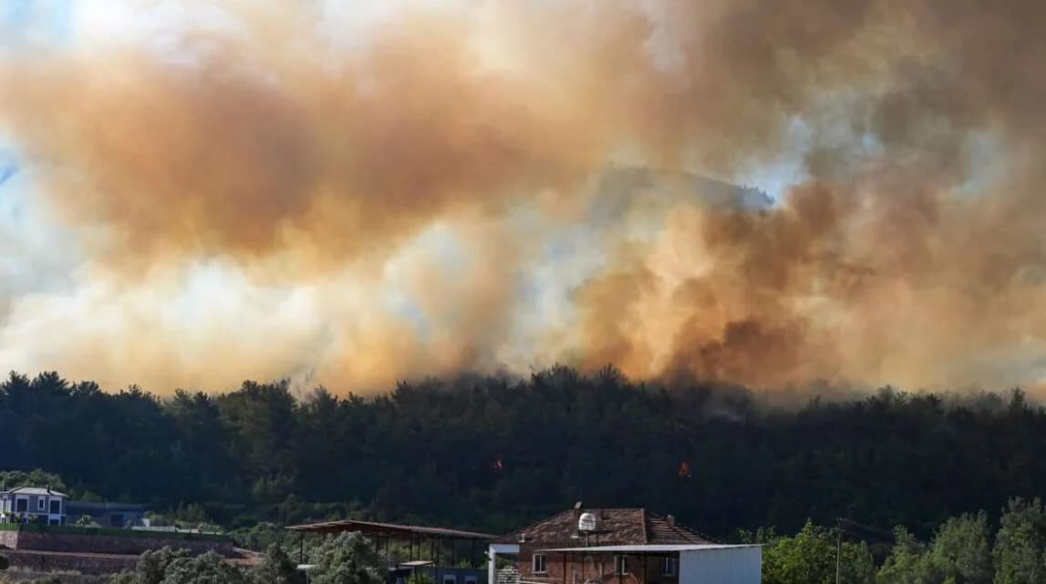 Brand in Izmir: Kampf gegen Wiederaufflammen wegen Wind