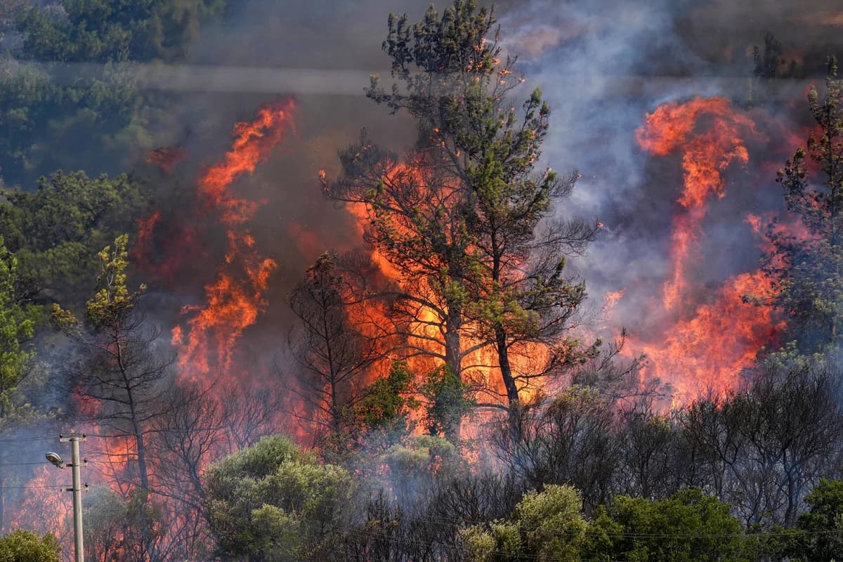 Izmir: Dozens of Homes Destroyed by Fire – Extinguishing Efforts Continue
