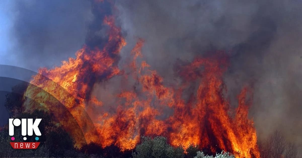Waldbrand in Alambra, Zypern unter Kontrolle