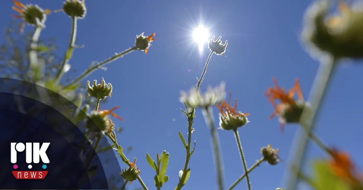 Pronóstico del tiempo: Cielos despejados con posibles chubascos en las montañas