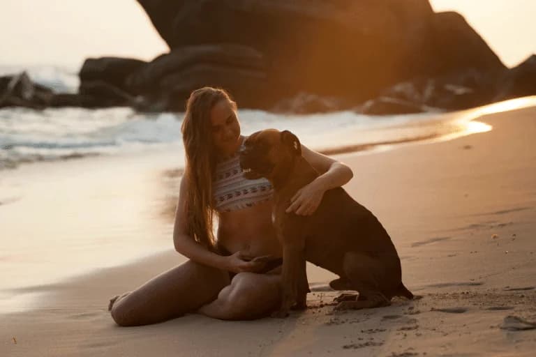 Llevar a tu perro a la playa: Qué perros vigilar y qué evitar