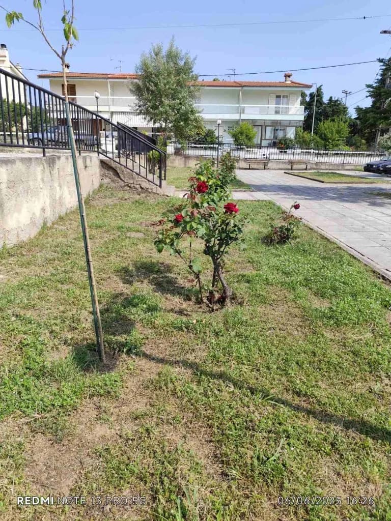 Δήμος Πολυγύρου: Τιμήθηκαν οι εθελοντές «μικροί κηπουροί»