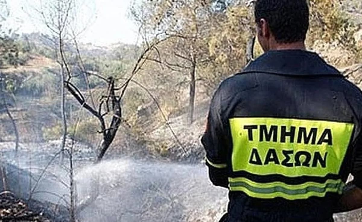 Feuer in Dymes, Limassol schnell unter Kontrolle