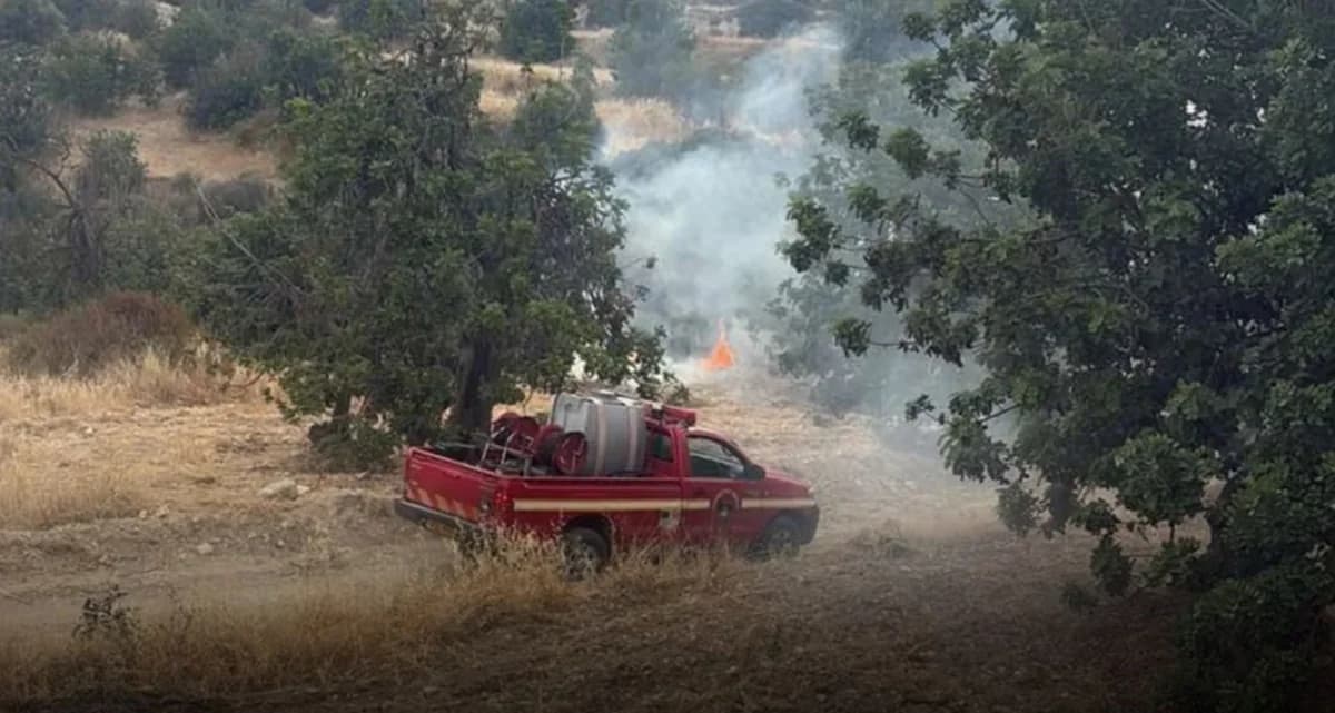 Limassol: 84-Jähriger wegen Brandstiftung in Dymes angeklagt