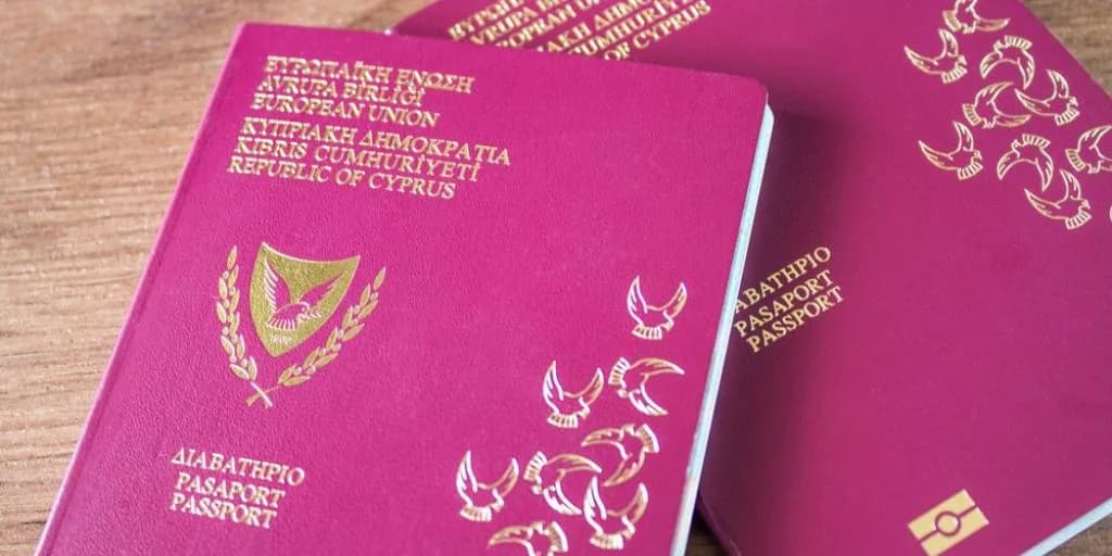 Chinesischer Interpol-Flüchtling will zypriotische Staatsbürgerschaft zurück