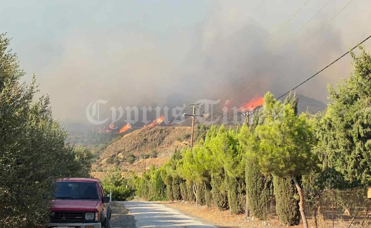 Μεγάλη περιβαλλοντική καταστροφή από την πυρκαγιά στην Πάφο