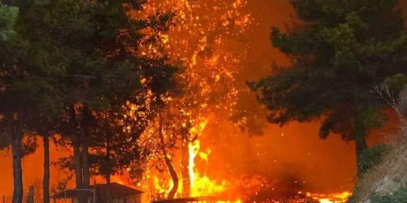 Τραγωδία στη Λεμεσό: Εντοπίστηκε νεκρός στην περιοχή της πυρκαγιάς