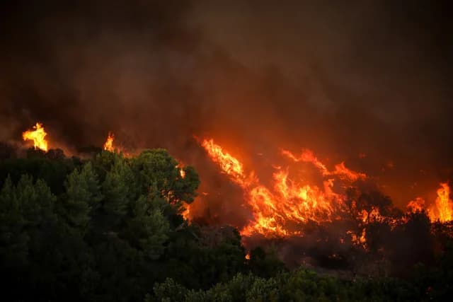 שריפת יער בקפריסין: הרוג אחד, תושבים לכודים, ספרד שולחת סיוע
