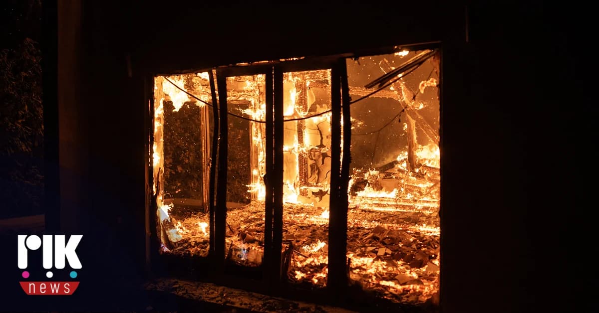 Landwirtschaftsministerium: Meldungen für Brandschäden an Feldfrüchten beginnen