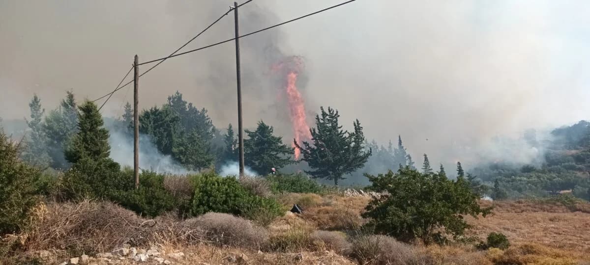 שריפה בקיתירה – פינוי אזור פיצינאדס